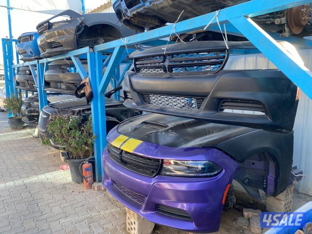 سكراب بن نخي8