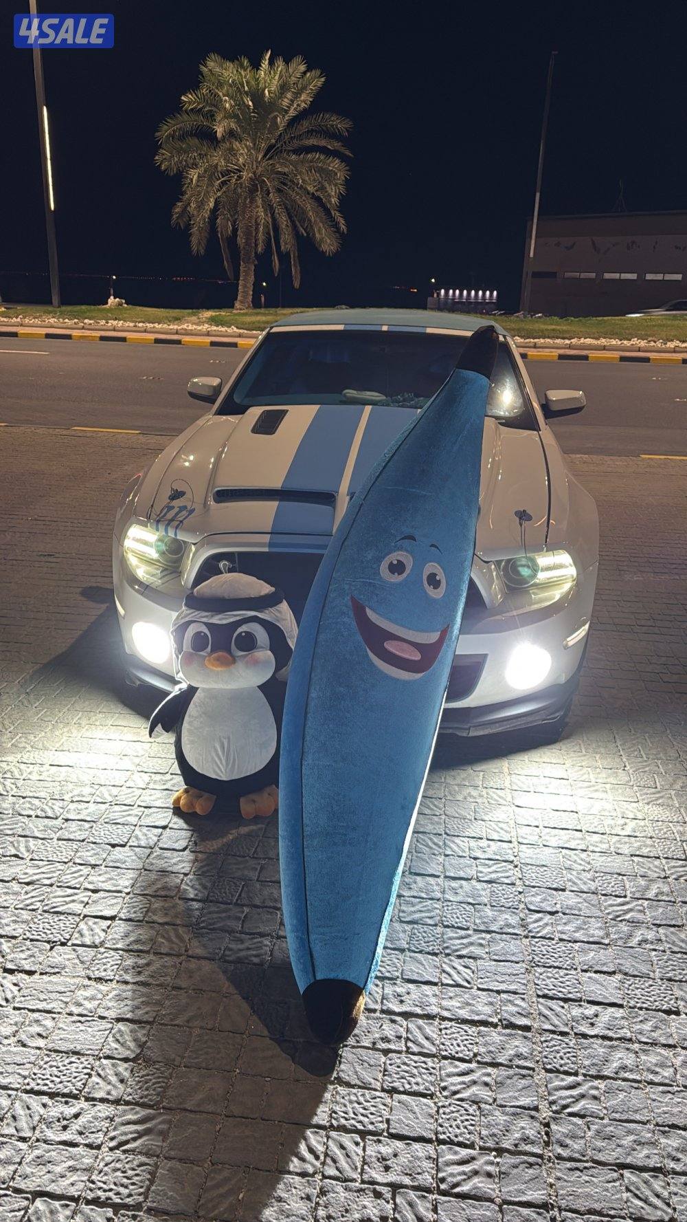 موستنق ٢٠١٣0