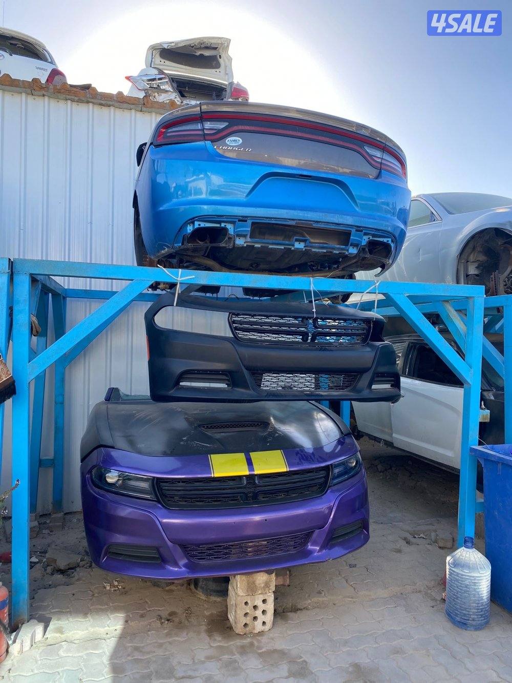 سكراب بن نخي10