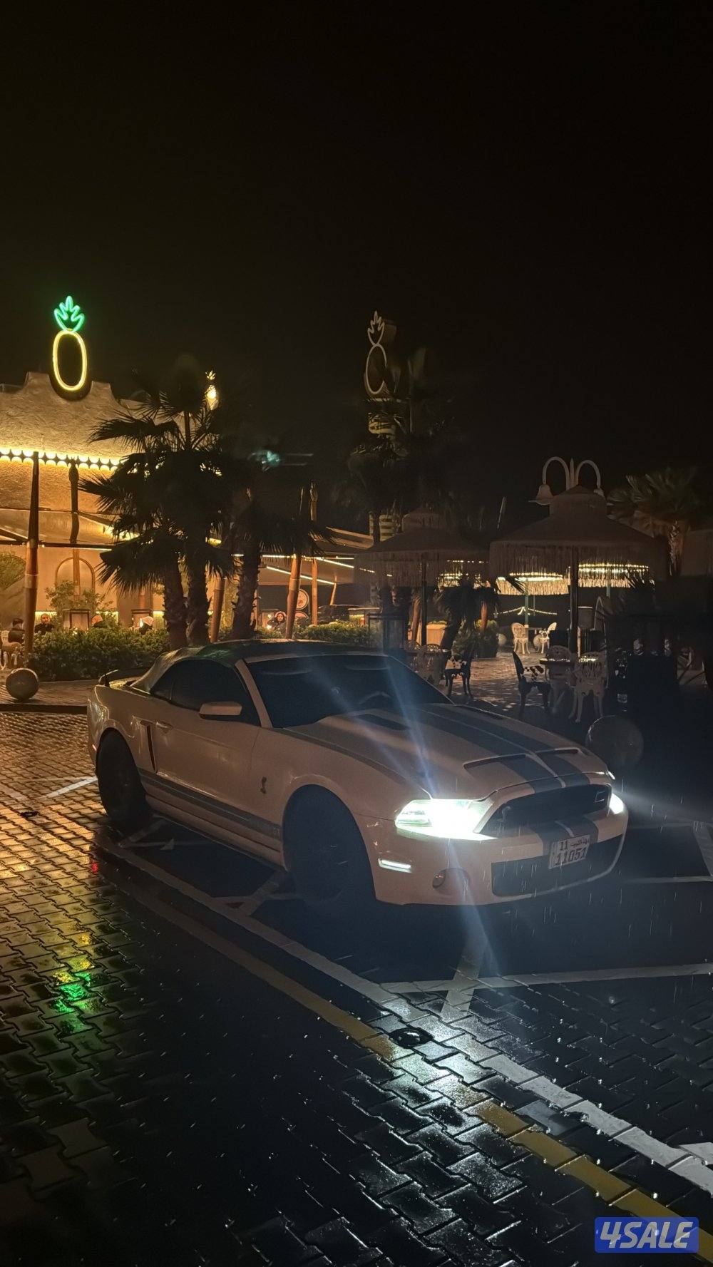 موستنق ٢٠١٣3