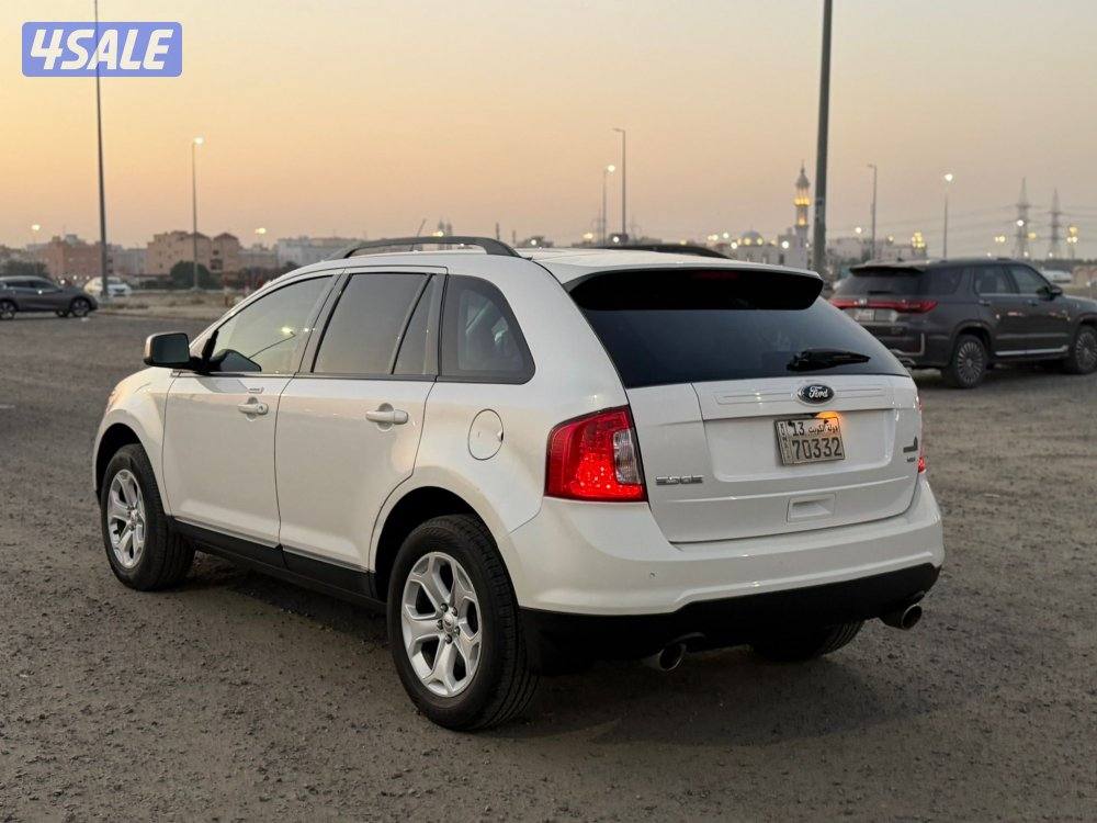 ايدج 2014 عداد 133 صبغ وكالة1