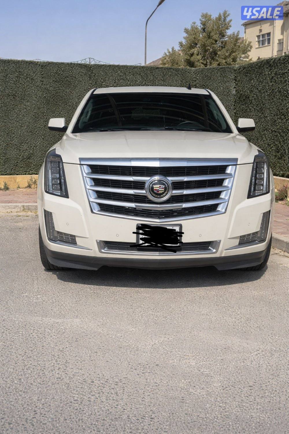 اسكاليد 2015 صبغ الوكالة ابيض من الداخل تان0