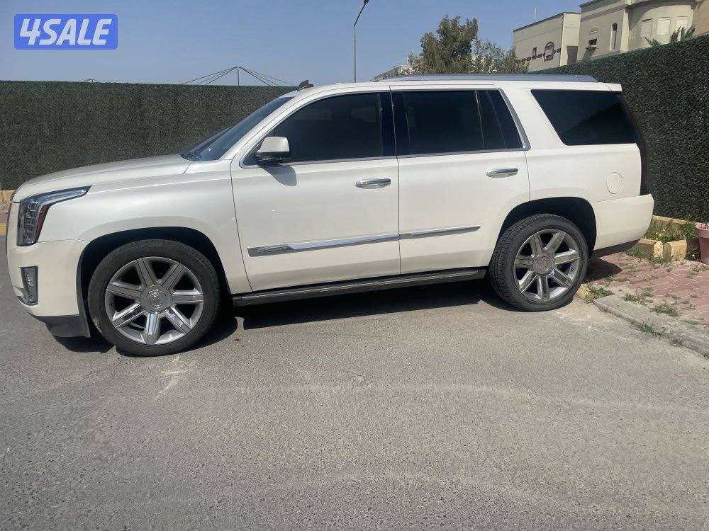 اسكاليد 2015 صبغ الوكالة ابيض من الداخل تان1