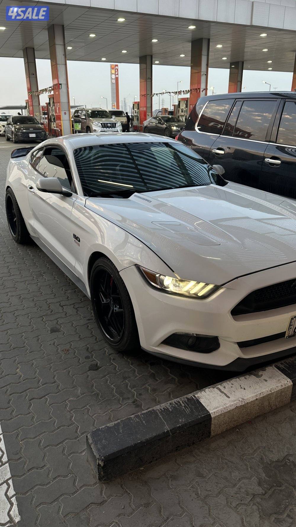 موستنق قير عادي وارد امريكا1