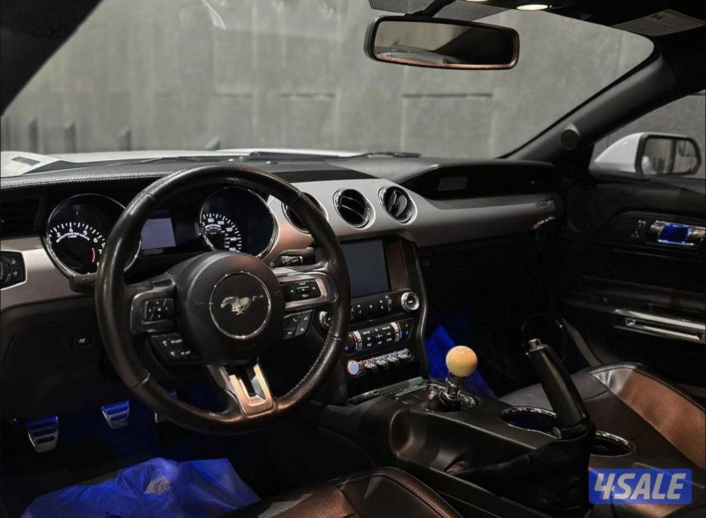 موستنق قير عادي وارد امريكا2