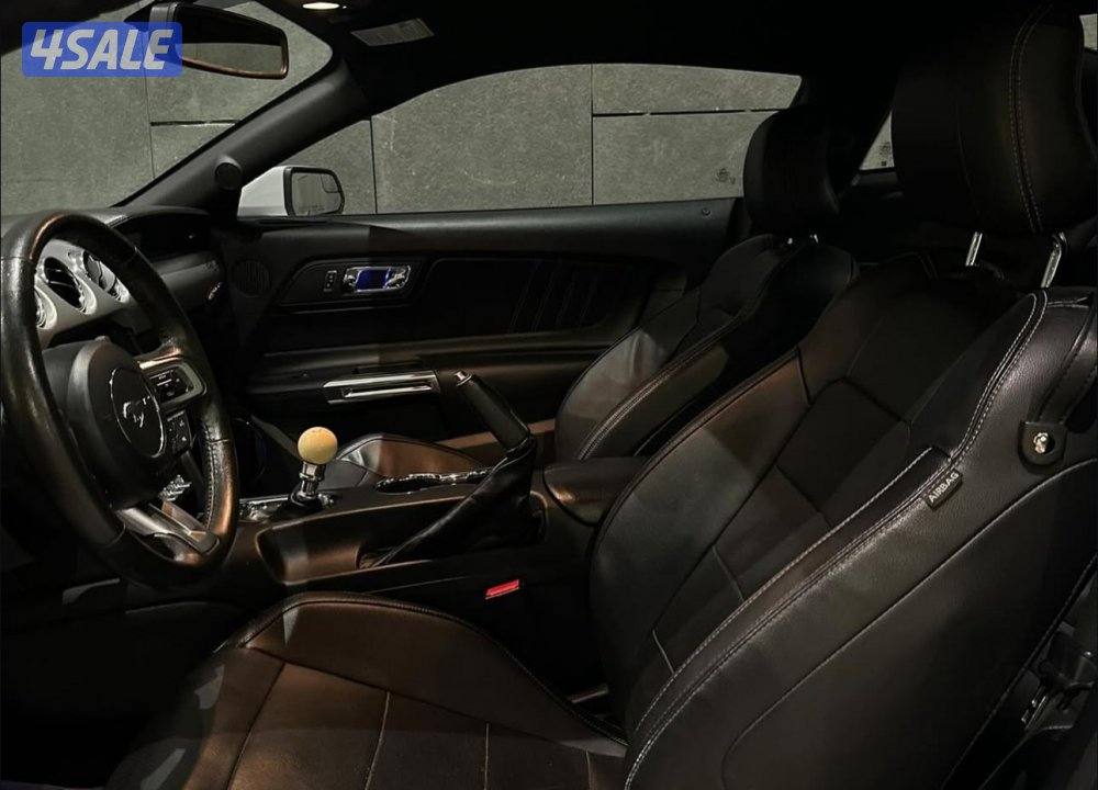 موستنق قير عادي وارد امريكا5