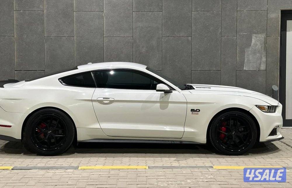 موستنق قير عادي وارد امريكا4