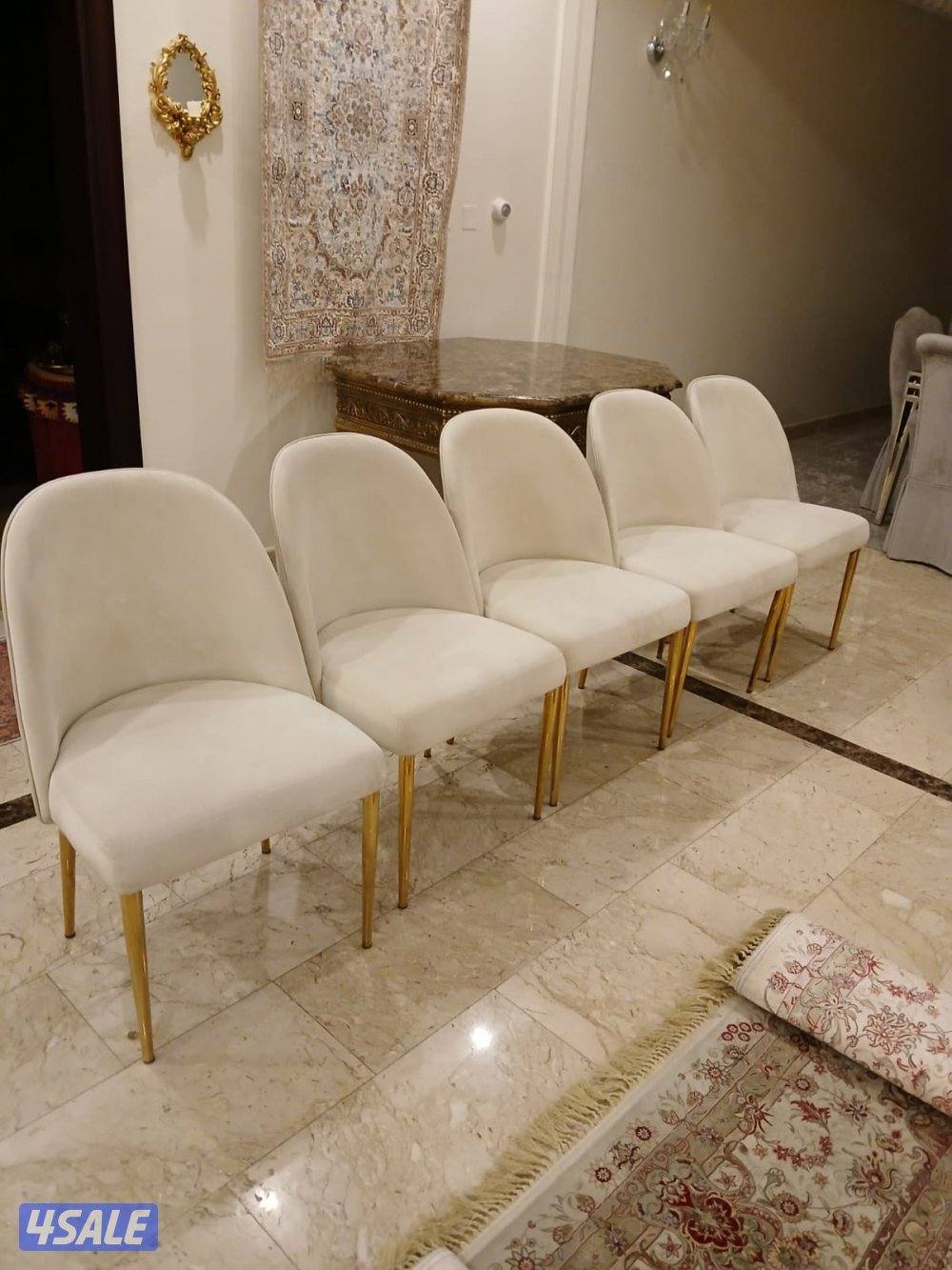 تأجير كراسي وطاولات وضيافه رجال ونساء شاي قهوه عصير9