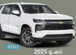 تاهو 20250