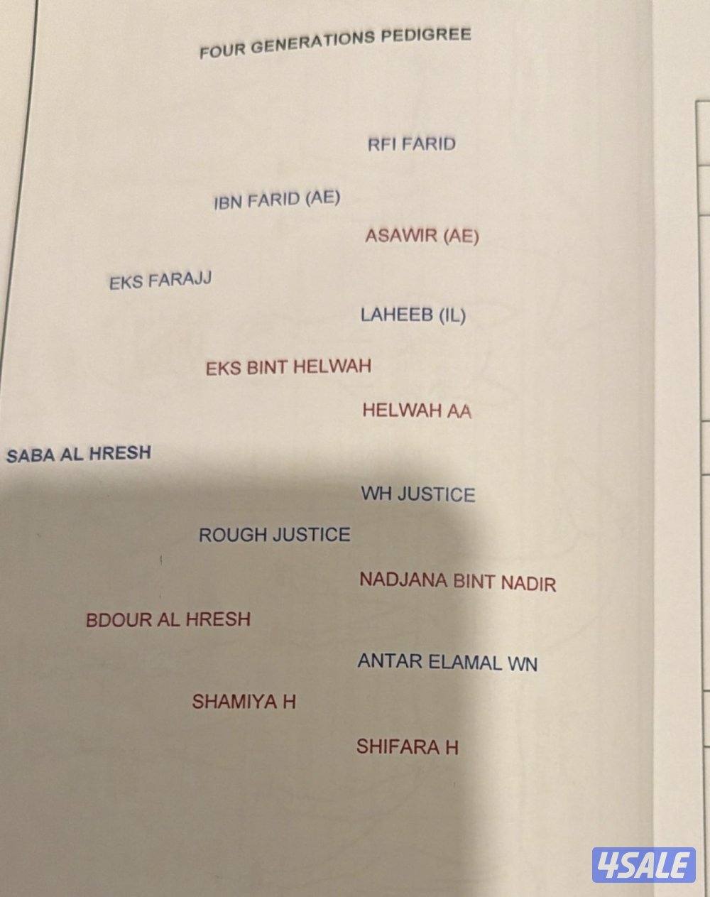 بنت إي كي أس فراج 👑🔥7