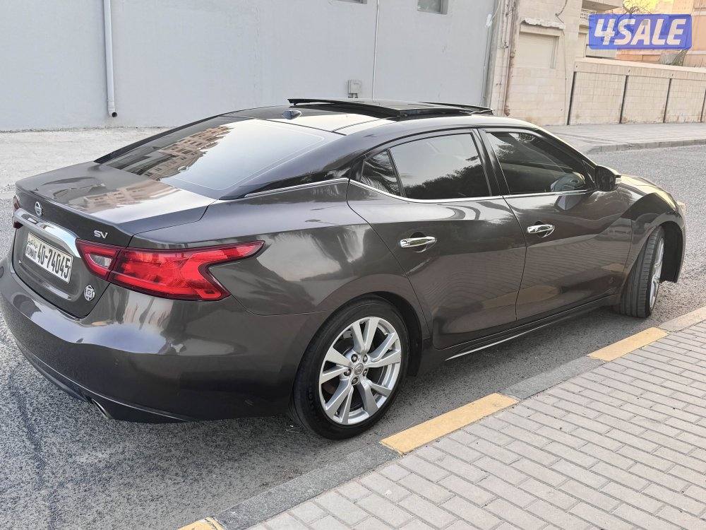 ماكسيما 20161