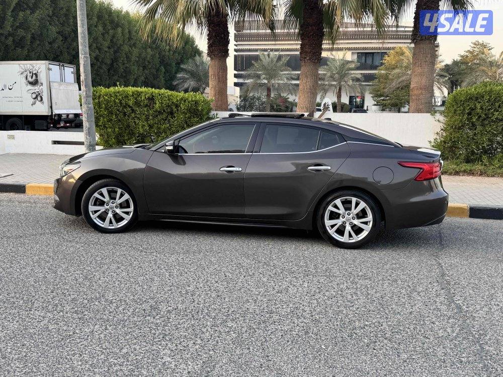 ماكسيما 20166