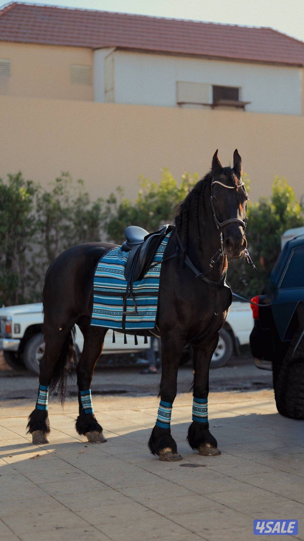 أطقم زينة للركوب1