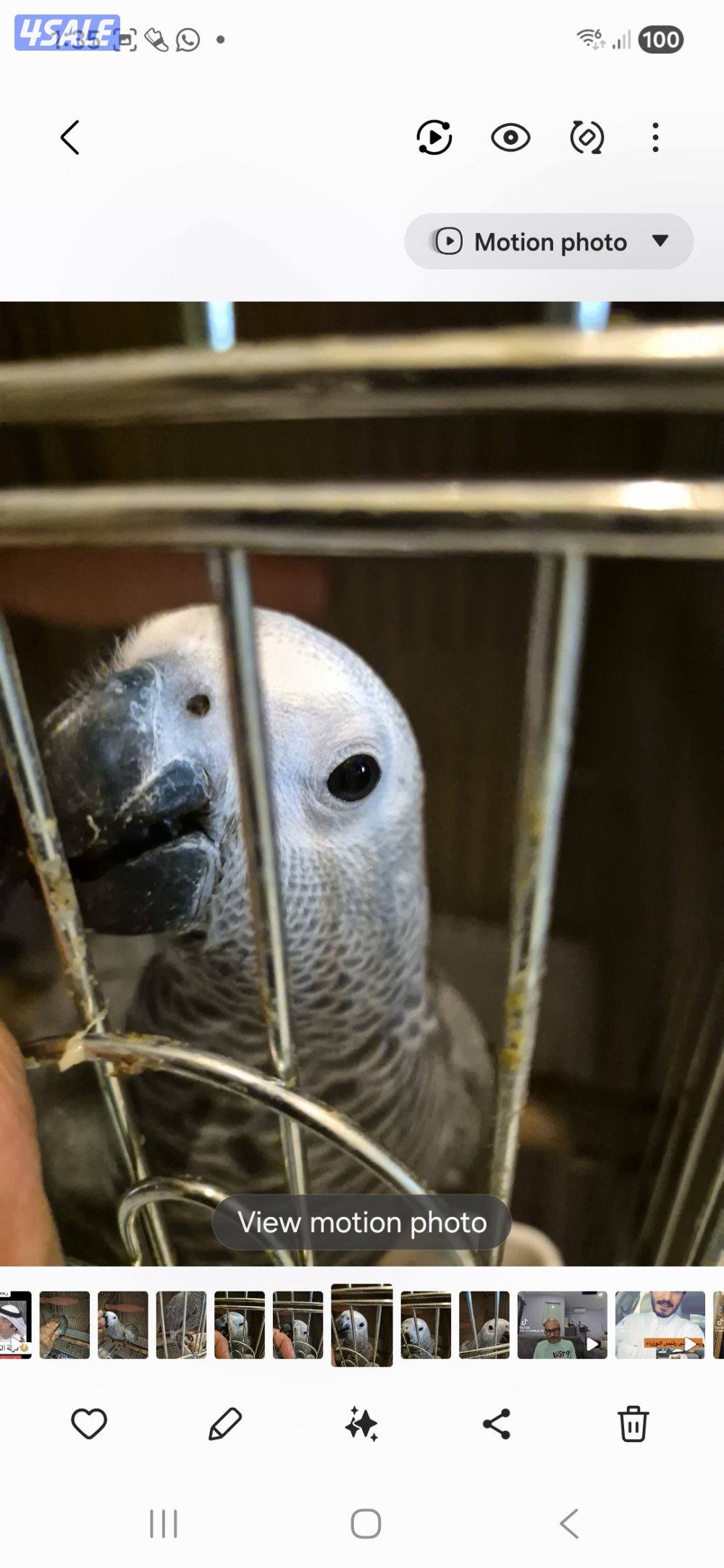 عندي كاسكو عدد 22