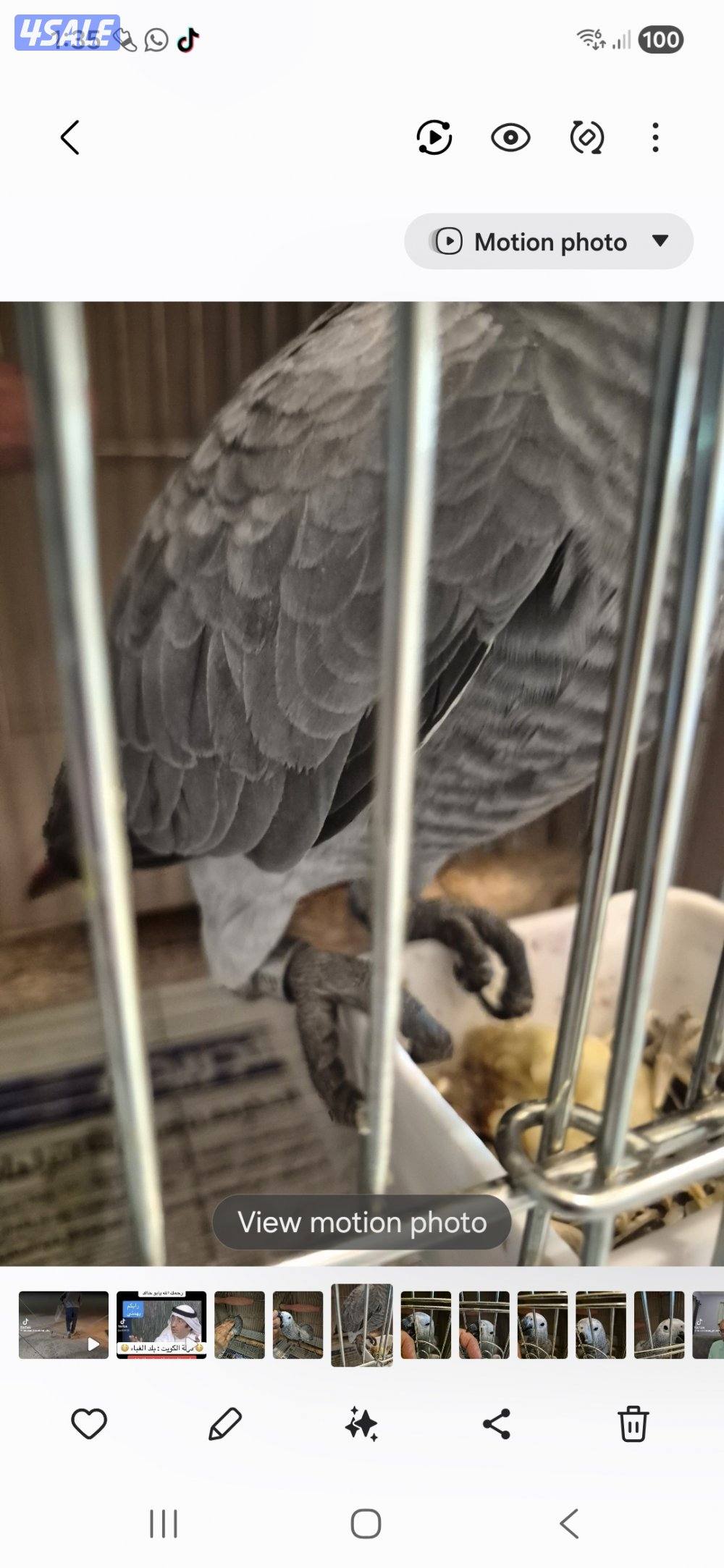 عندي كاسكو عدد 25