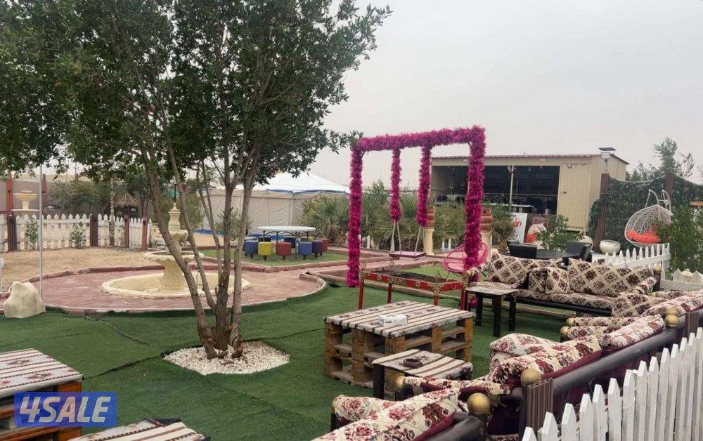 مخيم الاماكن5