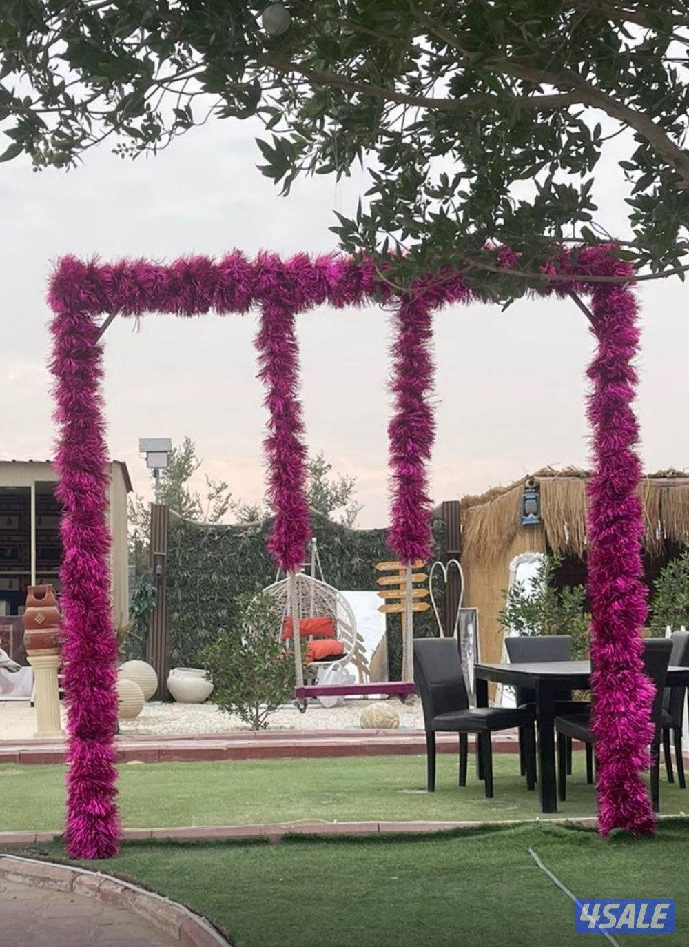 مخيم الاماكن15