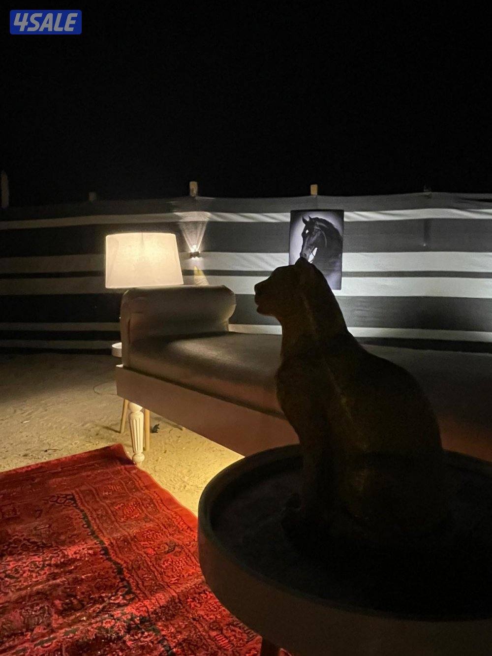 اجارمخيم قمره الجهراء2