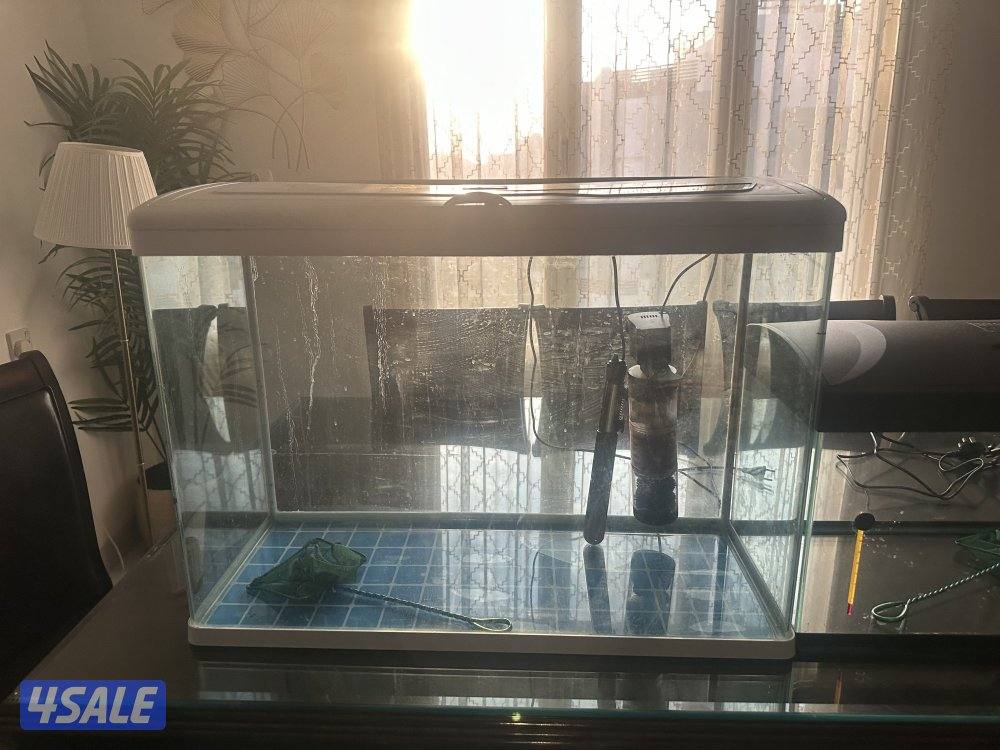 ثلاثة احواض و طاولة واحدة فلترين و ‏هيتارين ثلاث فلاتر و شبكيتين2