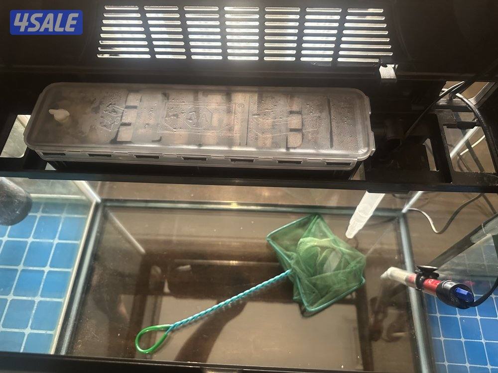 ثلاثة احواض و طاولة واحدة فلترين و ‏هيتارين ثلاث فلاتر و شبكيتين6