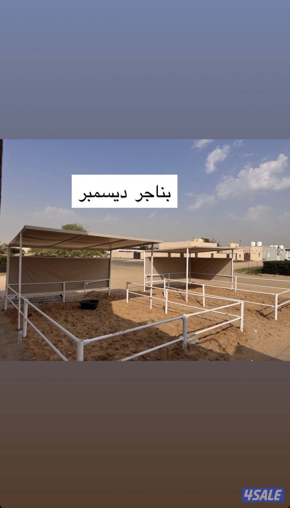 تفصال بناجر خيل بادوك مصلب هنقر افضل الجوده1