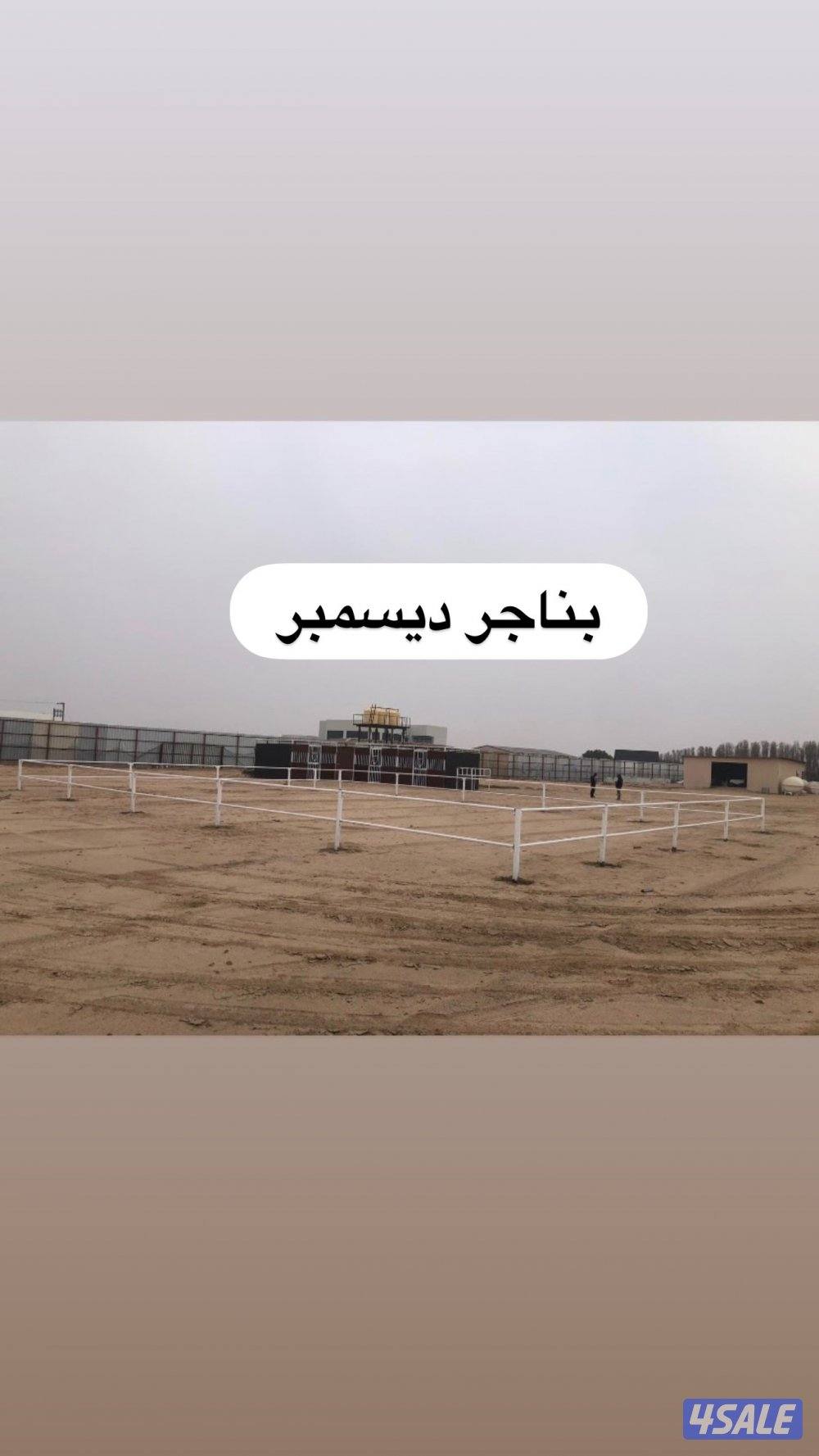 تفصال بناجر خيل بادوك مصلب هنقر افضل الجوده9