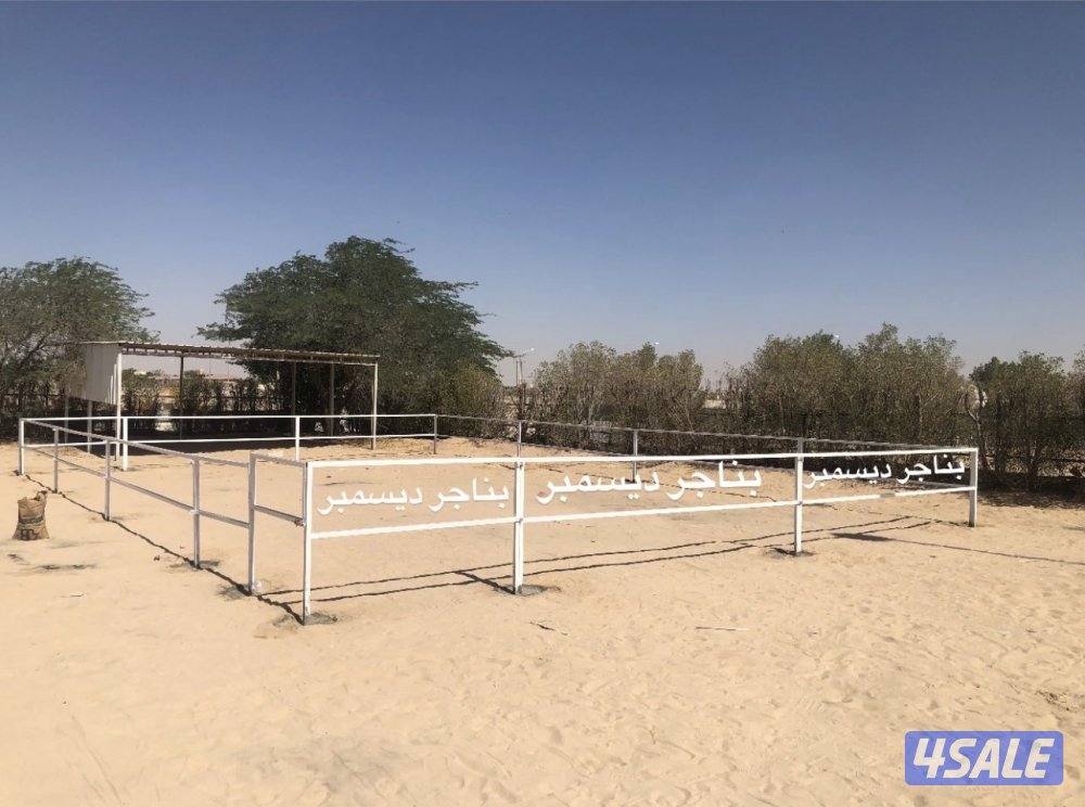 تفصال بناجر خيل بادوك مصلب هنقر افضل الجوده10