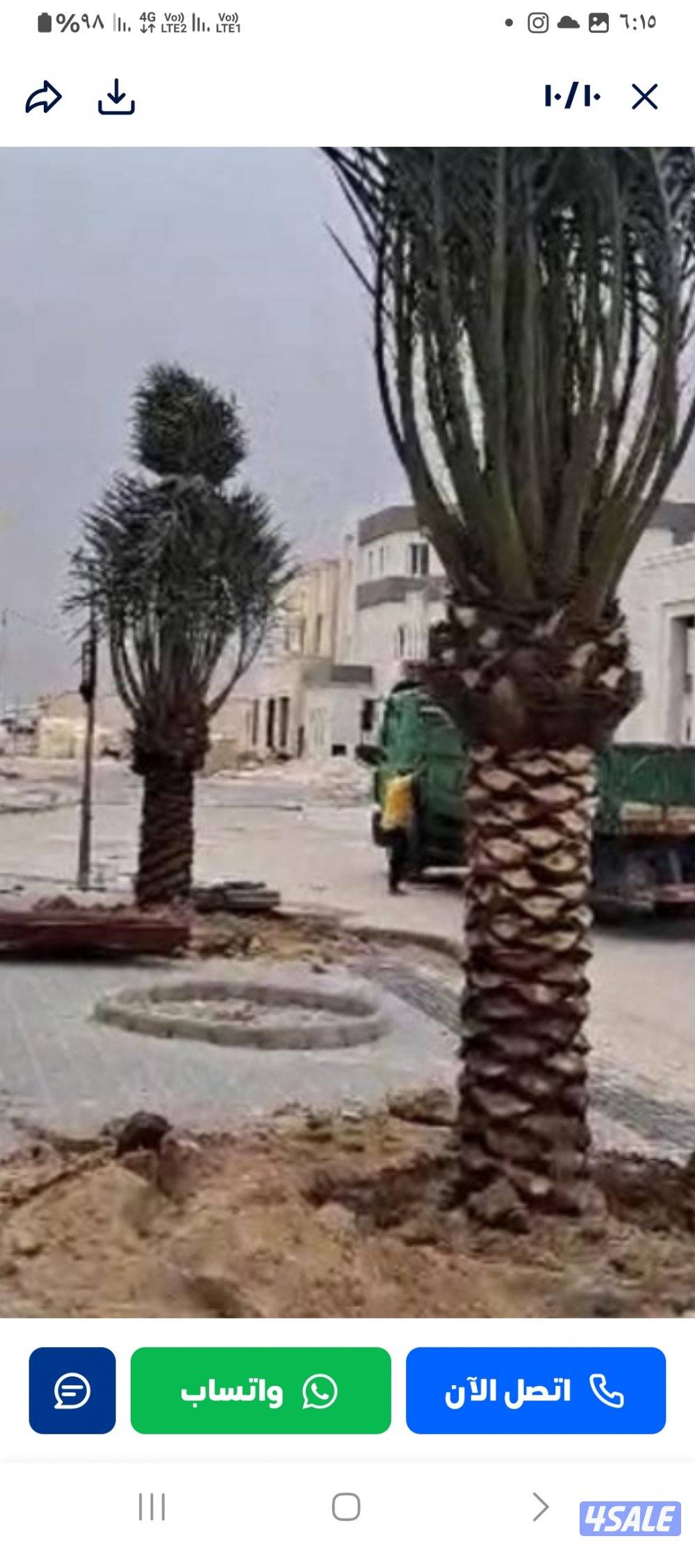 شيل نخل وزراعه تنظيف تكريب تلقيح نخل شيل فروخ2