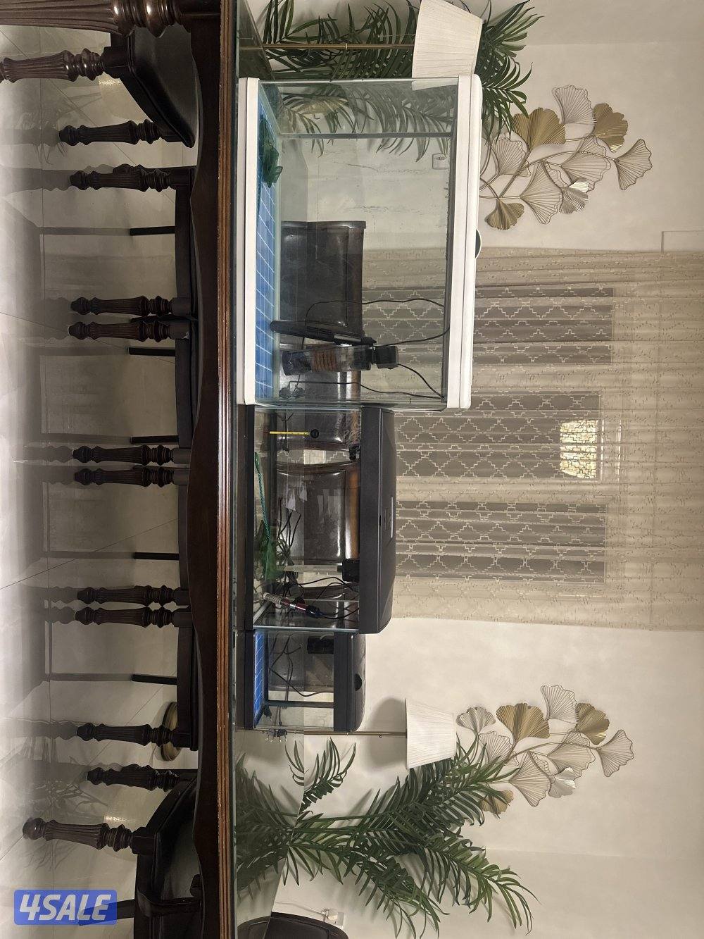 ثلاثة احواض و طاولة واحدة فلترين و ‏هيتارين ثلاث فلاتر و شبكيتين9