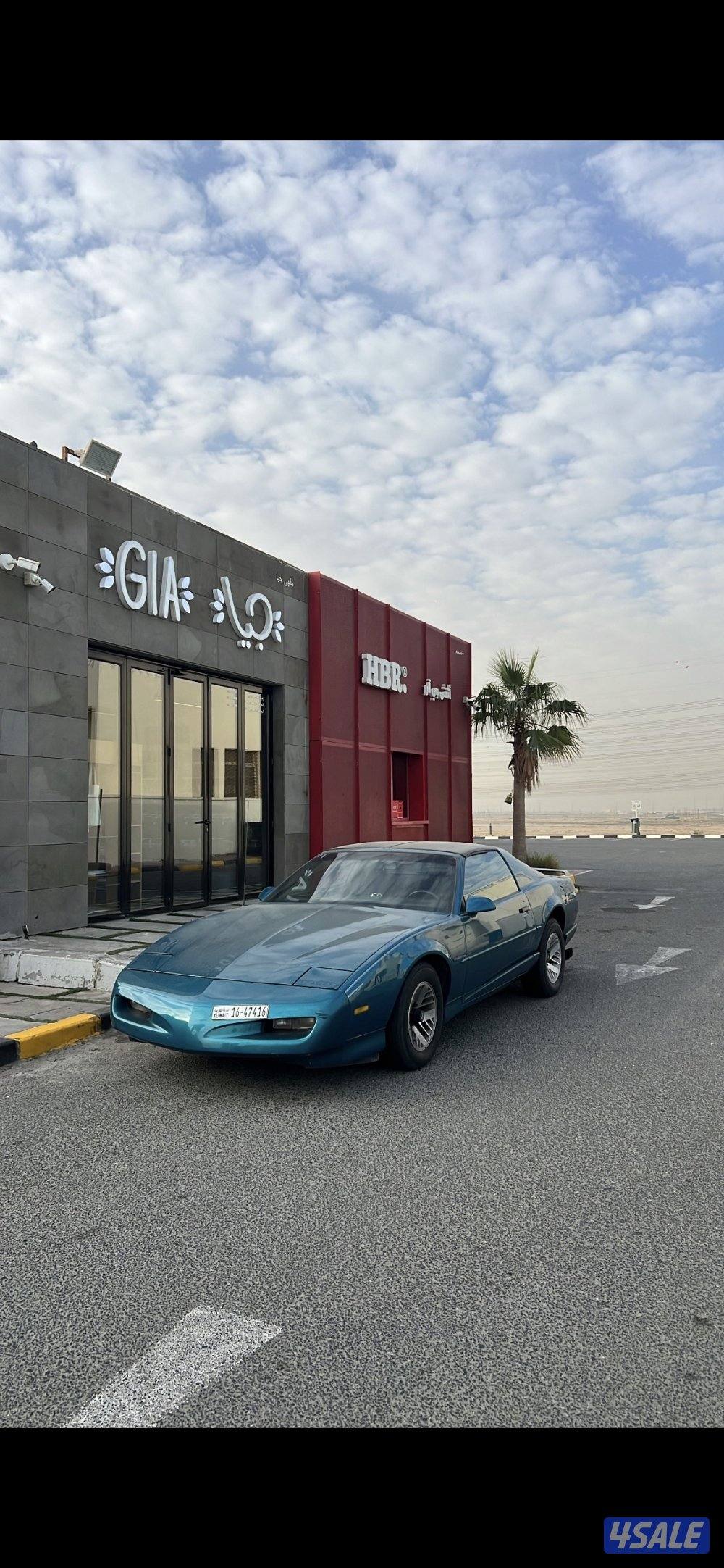 1992 Pontiac Fierbird Trans Am For Sale1