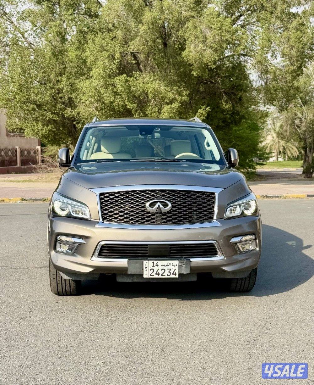 QX80 صبغ الوكالة 20164