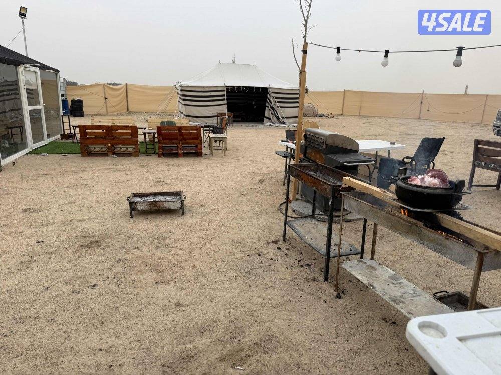 متوفر بالعيد الوطني 25/261