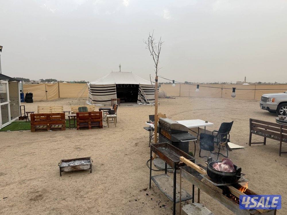 متوفر بالعيد الوطني 25/264