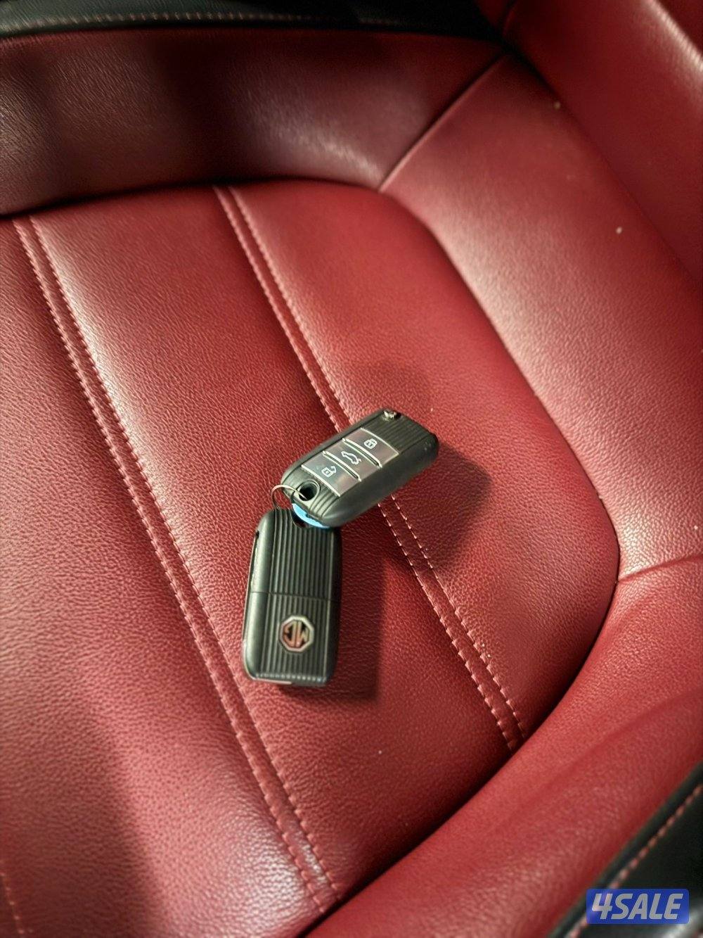 صبغ وكالة شرط الفحص3