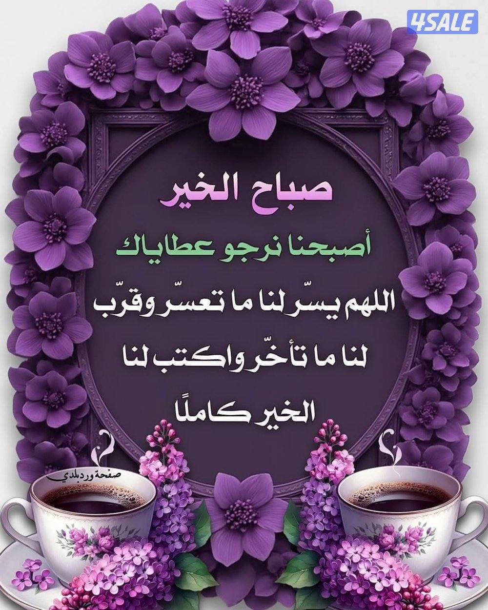 مدرس لغه عربيه وتربيه اسلاميه ومحفظ للقران الكريم وتعليم القراءه والكت0