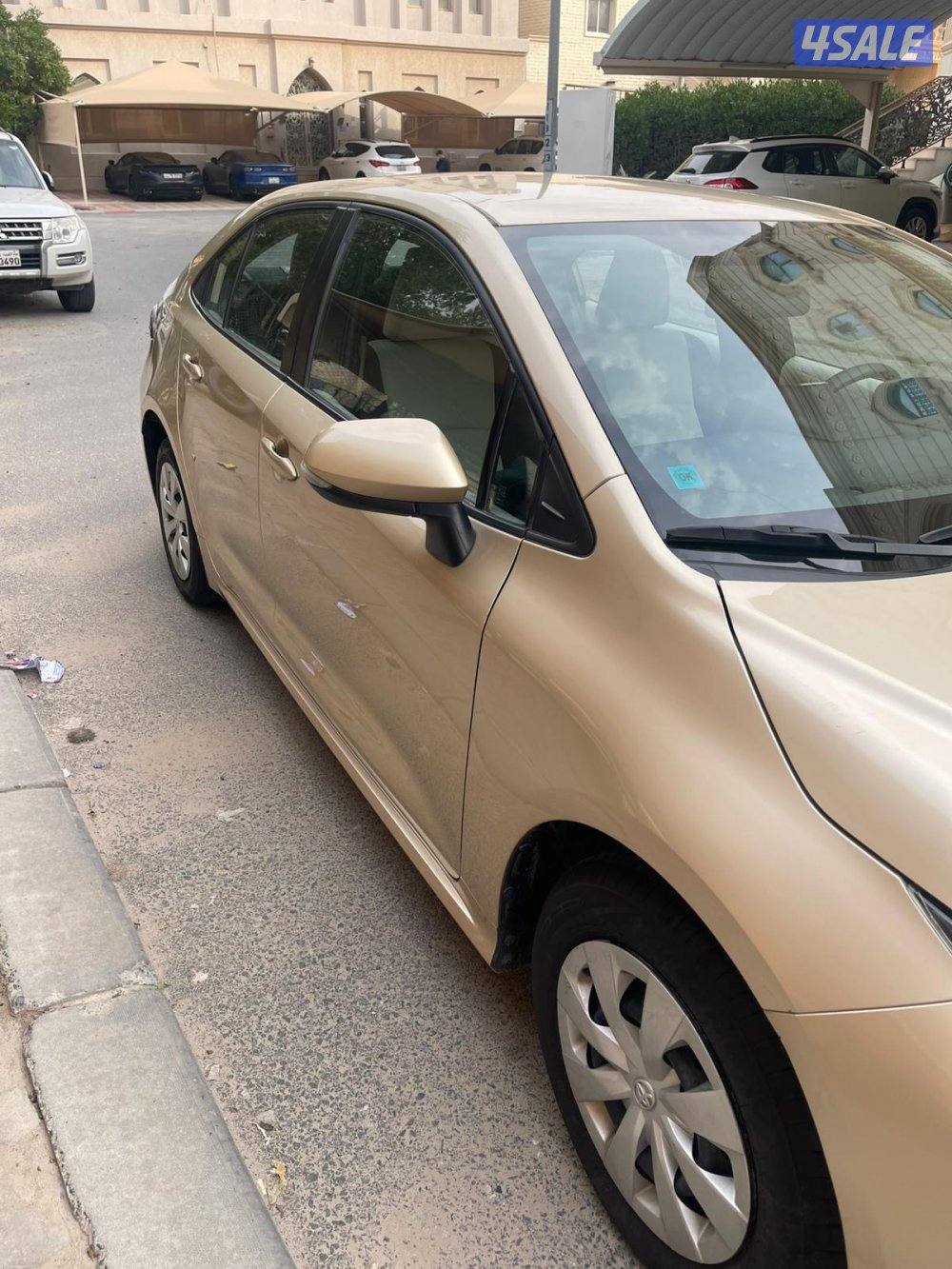 صبغ الوكالة 20214