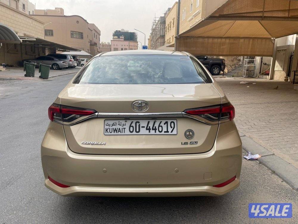 صبغ الوكالة 20215