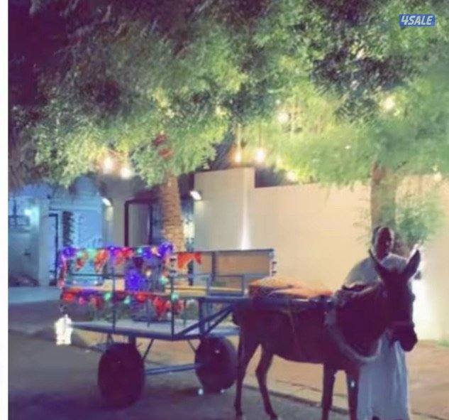 تاجير خيول وحناطير0