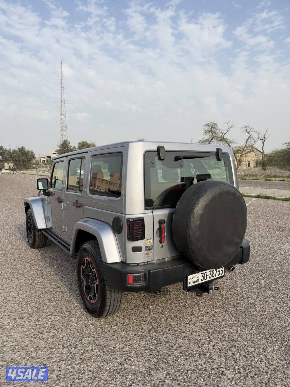 صبغ الوكاله ريبكون2