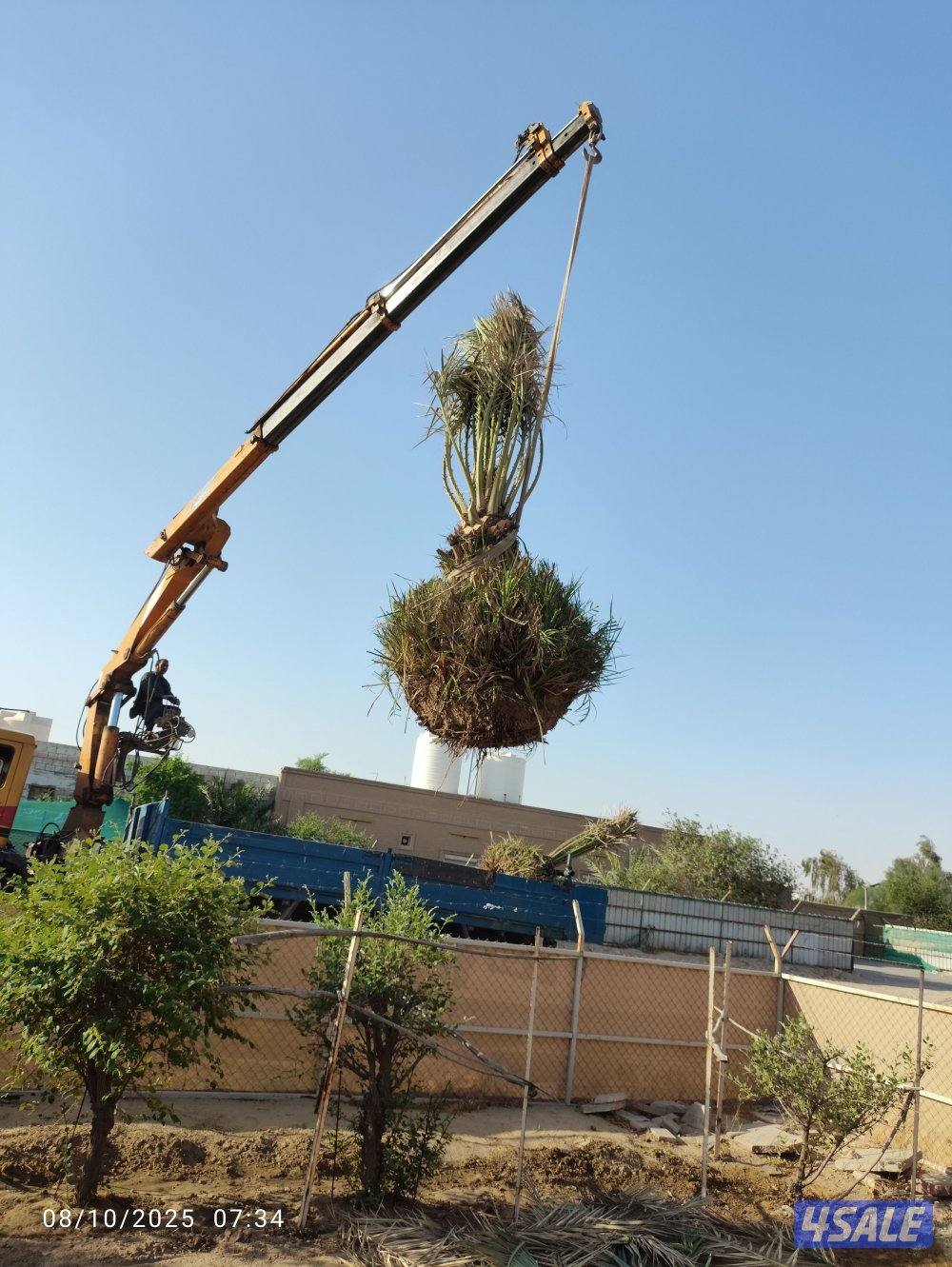 تنظیف ،تلقیح ،تکریب،شیل نخل من مکان الامکان اخر3