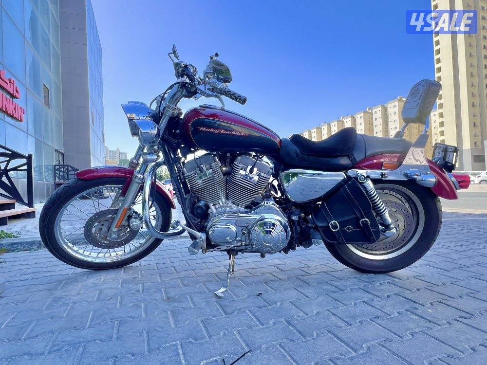 Harley Davidson  2007 sporster XL883C custom1