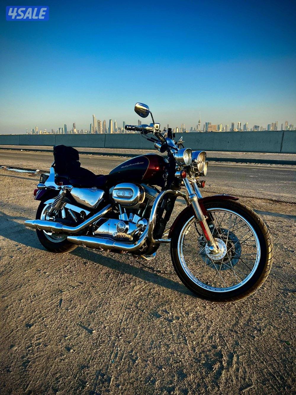 Harley Davidson  2007 sporster XL883C custom0