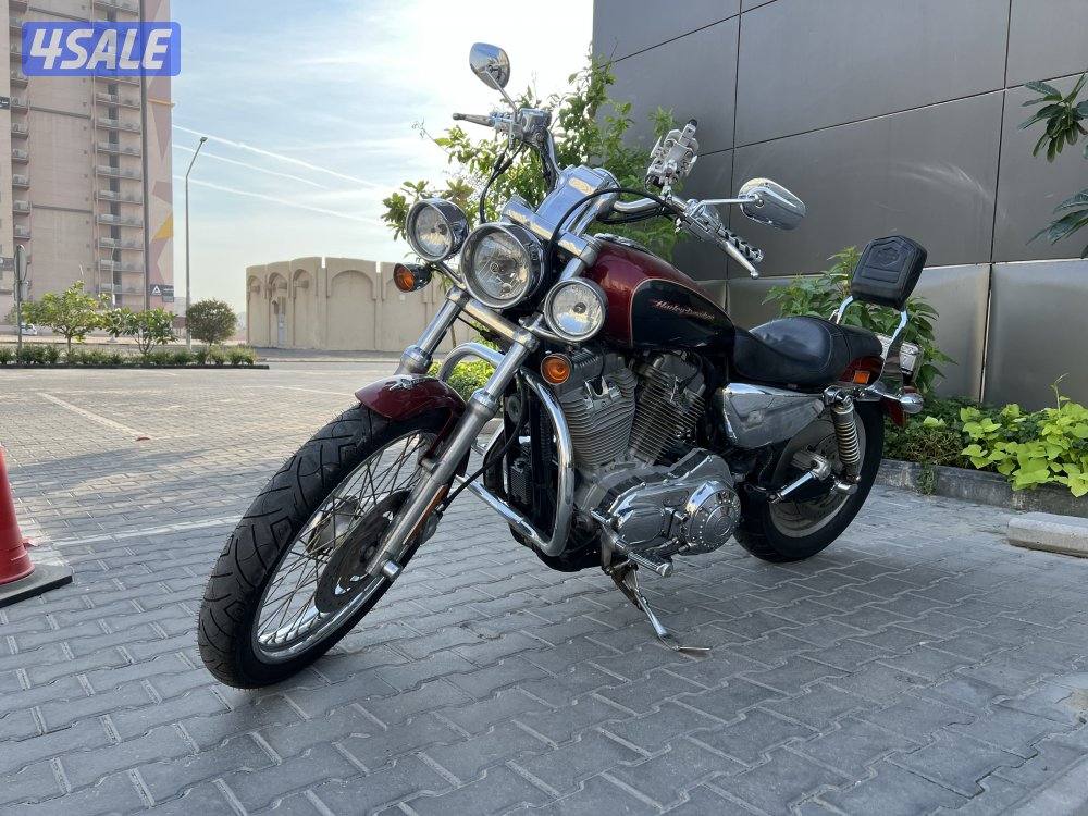 Harley Davidson  2007 sporster XL883C custom8