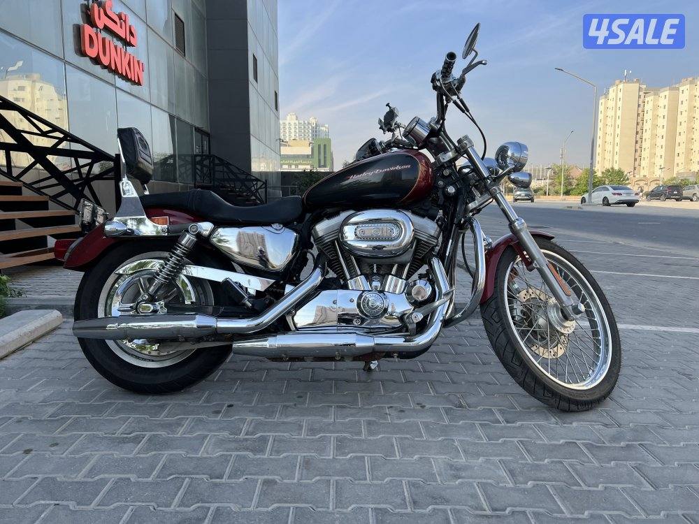 Harley Davidson  2007 sporster XL883C custom10