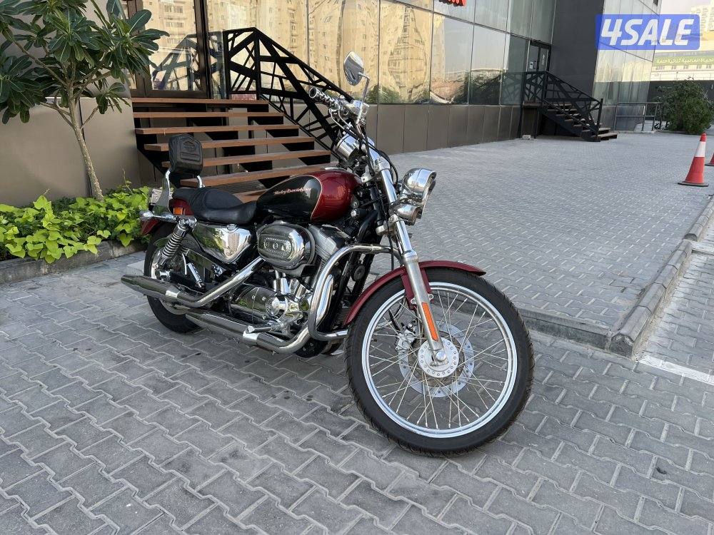 Harley Davidson  2007 sporster XL883C custom9