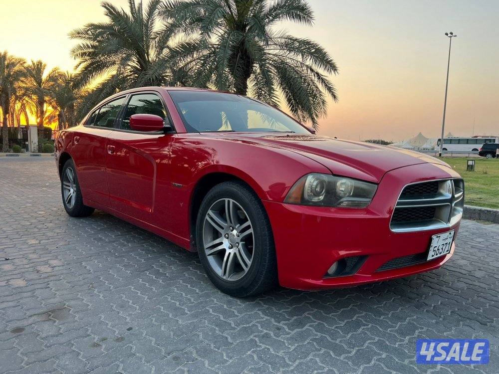 للمعاينة العارضية الحرفية0