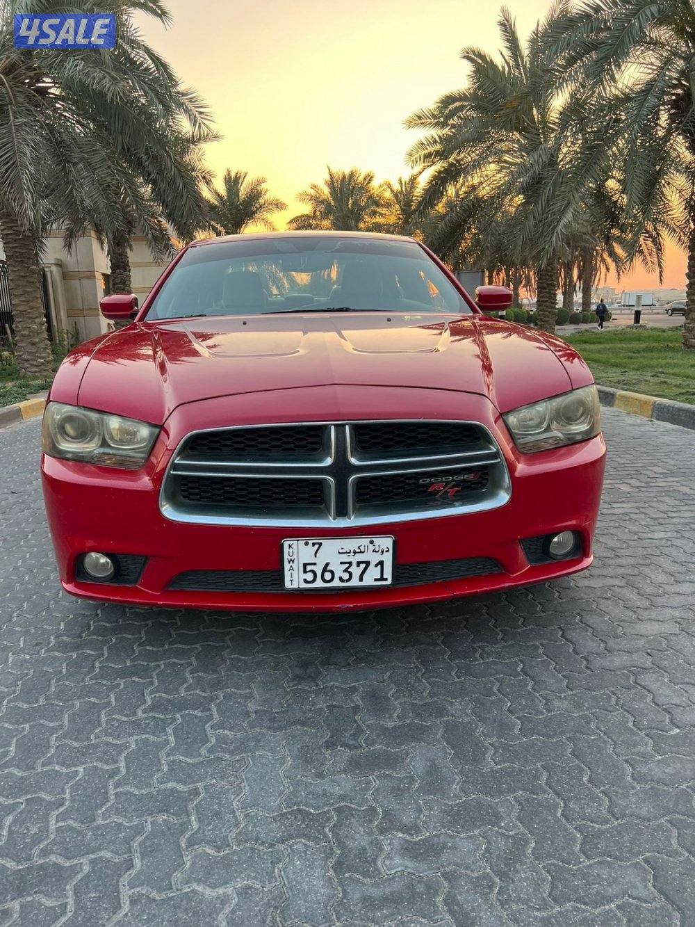 للمعاينة العارضية الحرفية1