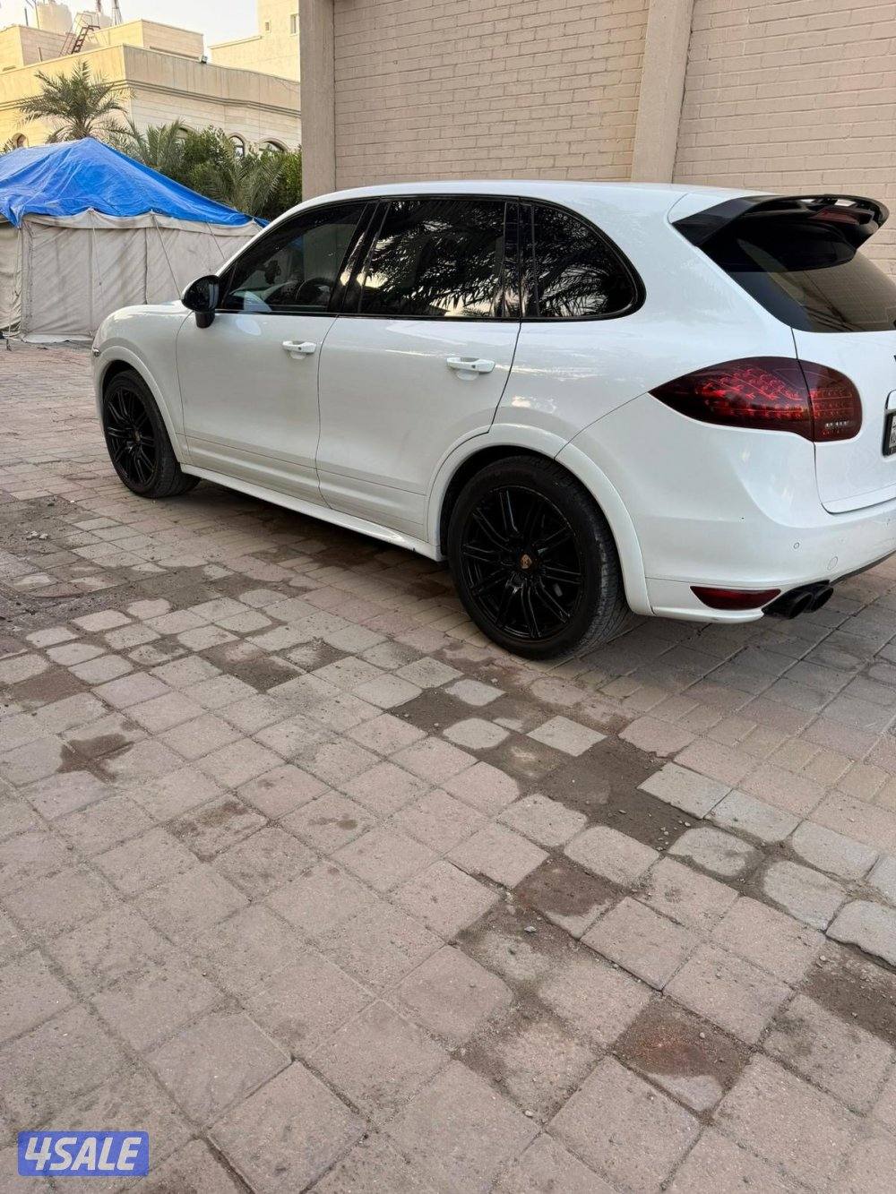 للبيع كاين GTS3