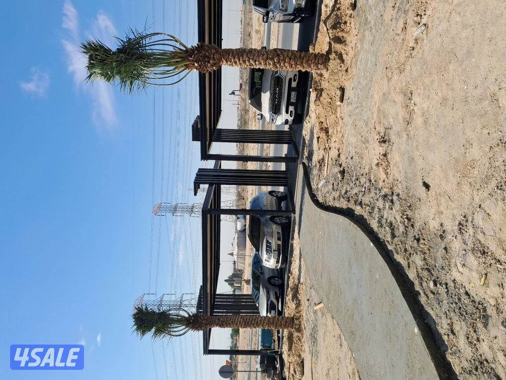 اهوازى نخيل شيل نخل تنضف وتلقيح نخيل جميع مناطق اسعار مقرية11