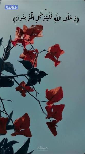 مبارك عليكم الشهر. ادور على شغل0